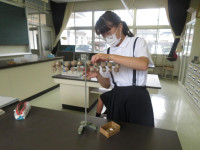 pict-IMG_6966
