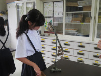 pict-IMG_6968