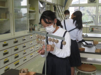 pict-IMG_6972
