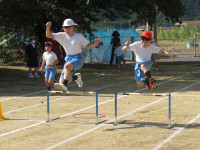 pict-IMG_6994