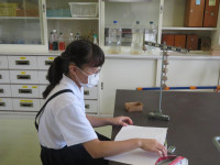 pict-IMG_7064