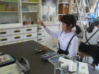 pict-IMG_7067