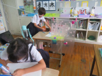 pict-IMG_7107