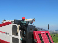 pict-IMG_7241