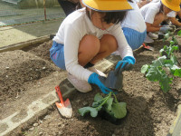 pict-IMG_7332