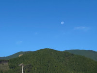 pict-IMG_5115