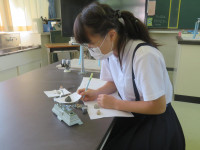 pict-IMG_7367