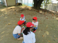 pict-IMG_7386