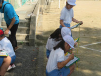 pict-IMG_7420