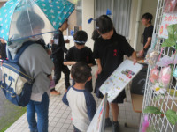 pict-IMG_7850