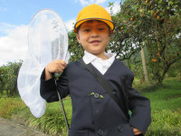 pict-IMG_3800