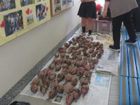 pict-IMG_7939
