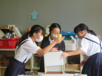 pict-IMG_7617