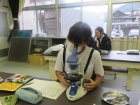pict-IMG_7636
