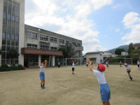 pict-IMG_6711