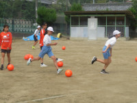 pict-IMG_7737