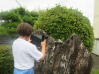 pict-IMG_7760