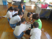 pict-IMG_7791